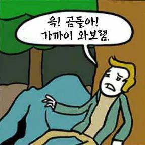 약스압 산에서 곰만났을때의 별 도움 안되는 대처법