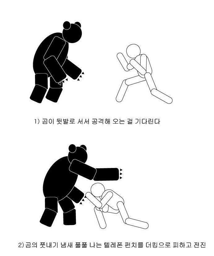 약스압 산에서 곰만났을때의 별 도움 안되는 대처법