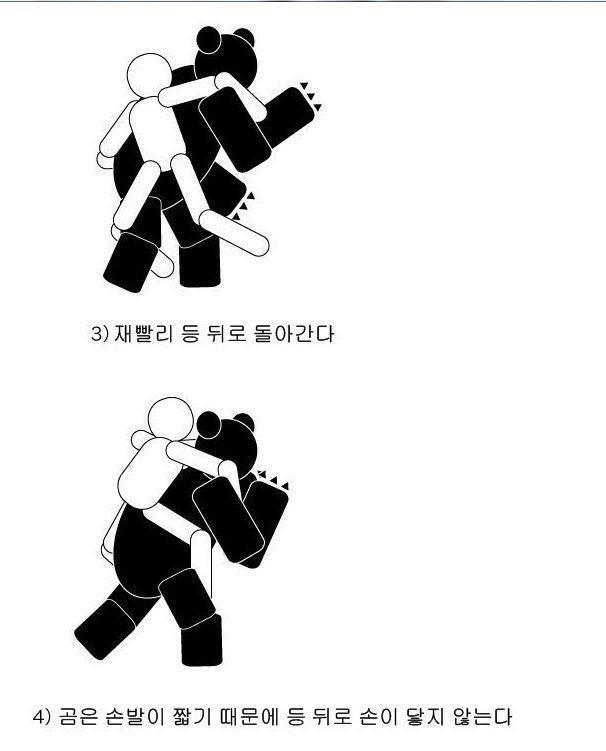 약스압 산에서 곰만났을때의 별 도움 안되는 대처법