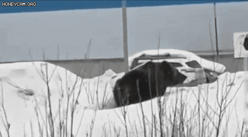 28869_3_i013816131647.gif
