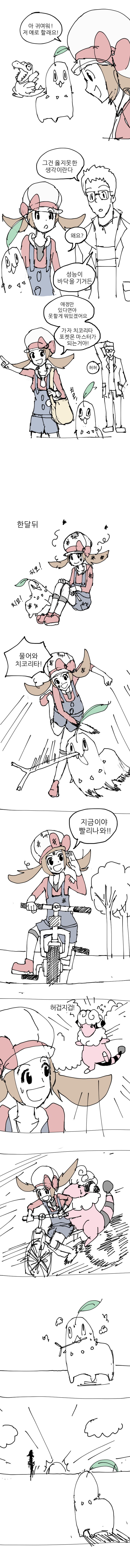 치코리타 대참사.JPG