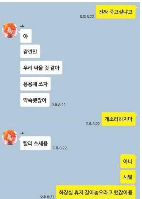 애인과 싸울때 용용체를 써보자.txt