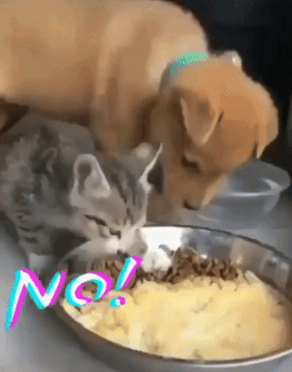 29702_0_i015073320346.gif