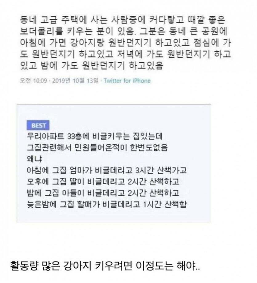 아파트에서 보더콜리와 비글을 키우고 민원 안 받는 방법.jpg