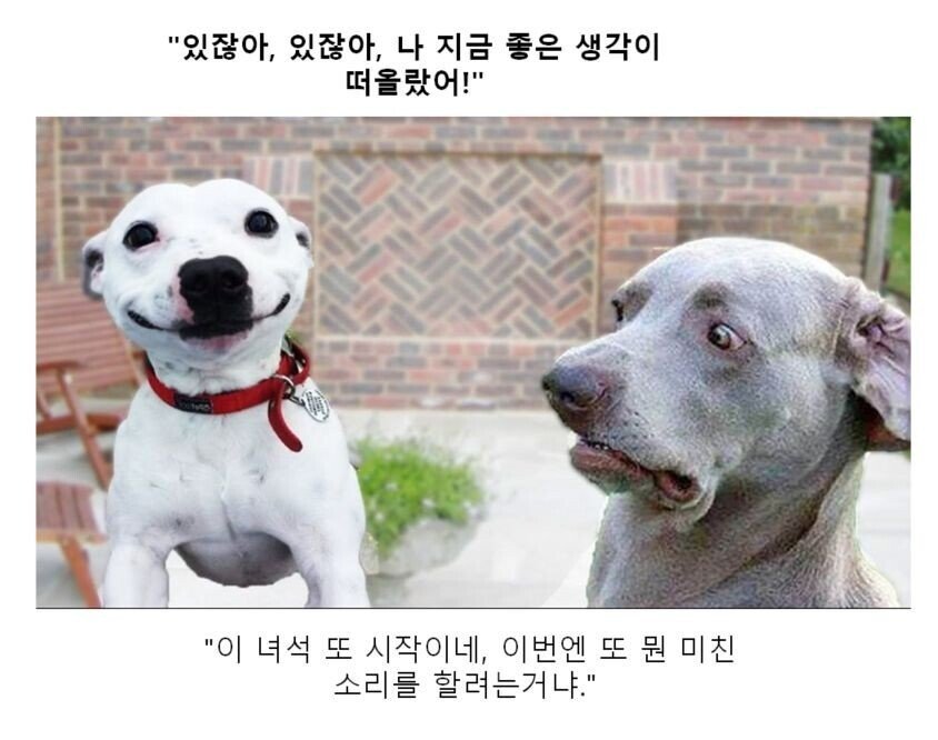 만화 대사 클리쉐 모음.