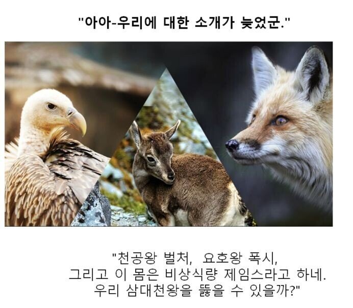 만화 대사 클리쉐 모음.