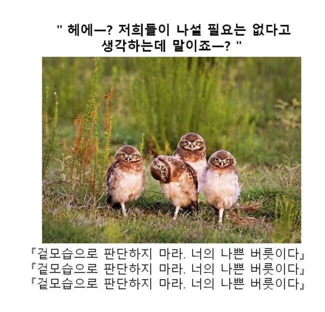 만화 대사 클리쉐 모음.