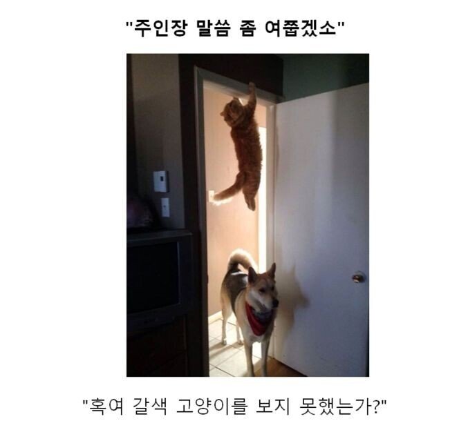 만화 대사 클리쉐 모음.