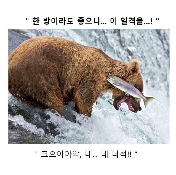 만화 대사 클리쉐 모음.