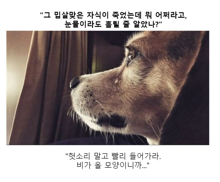 만화 대사 클리쉐 모음.