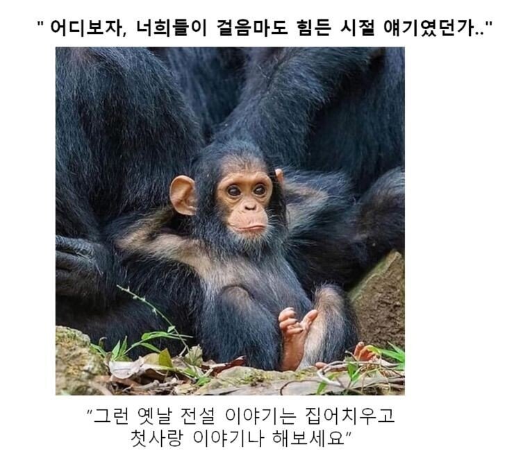 만화 대사 클리쉐 모음.