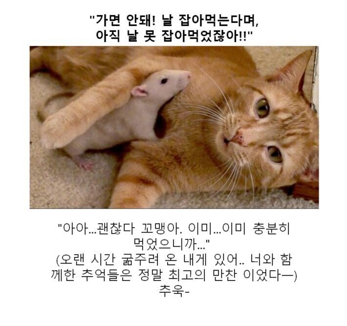 만화 대사 클리쉐 모음.