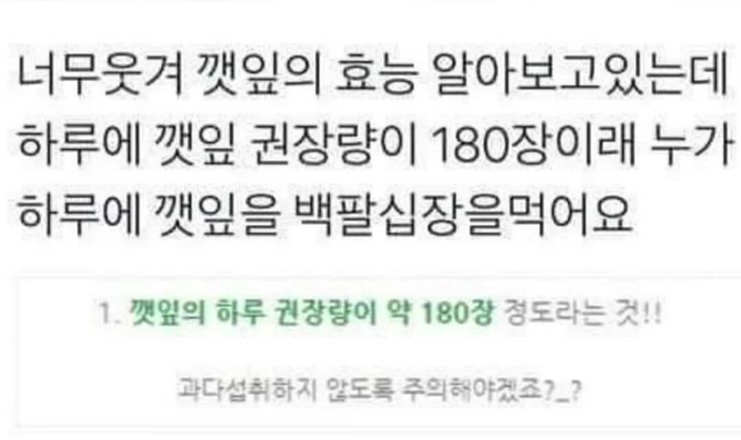 깻잎 하루 권장량