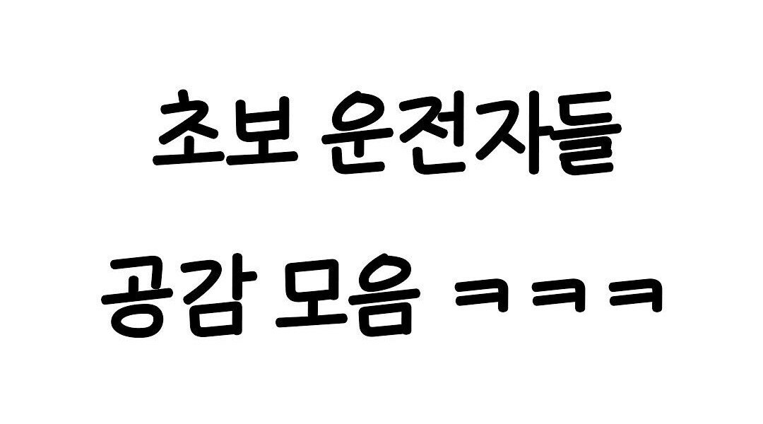 초보 운전자들 공감 모음