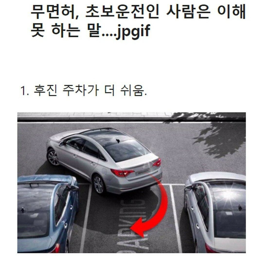 초보 운전자들 공감 모음