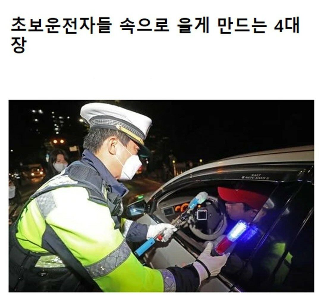 초보 운전자들 공감 모음