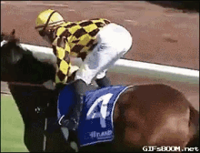 31212_0_i014131374562.gif