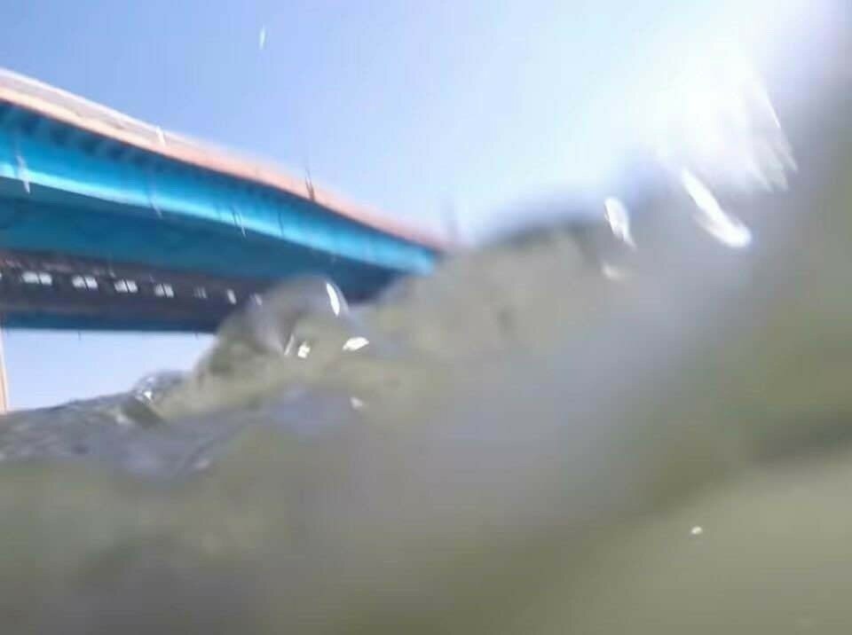 31537_1_i13376461200.jpg