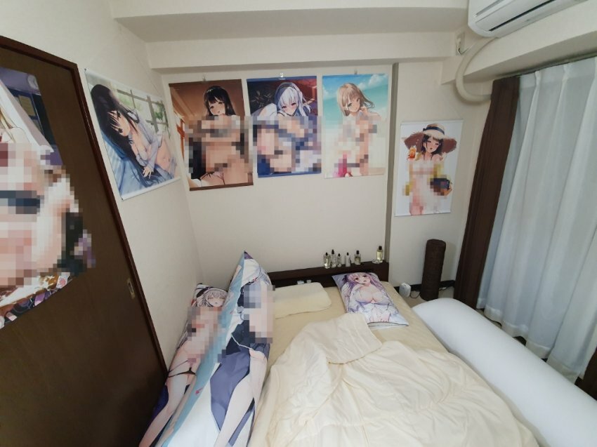 디시에 올라온 한국 씹덕들의 방