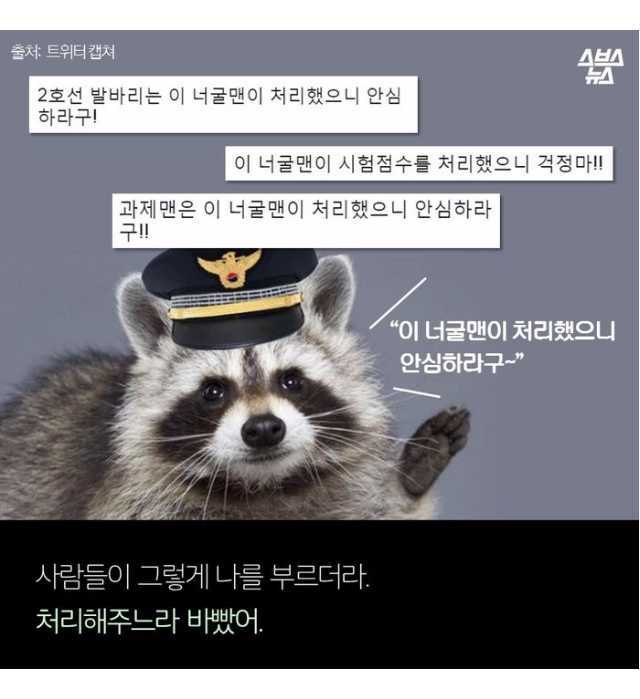 그네 정권 순실이 짤 주의