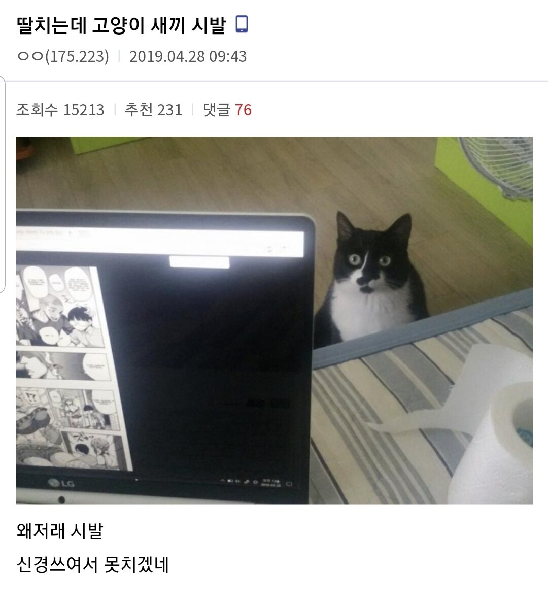 딸치는데 고양이 시키...