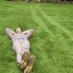 32704_0_i014694626647.gif