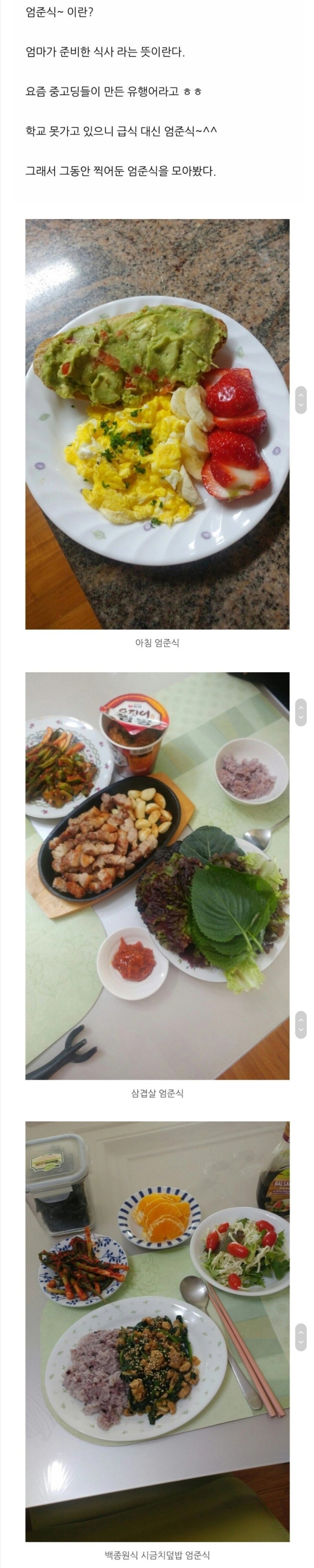 유행어 패치가 잘못됀 한 블로거