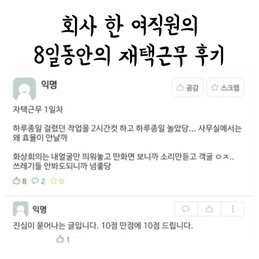 8일간의 재택근무