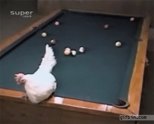 33687_0_i013251836946.gif