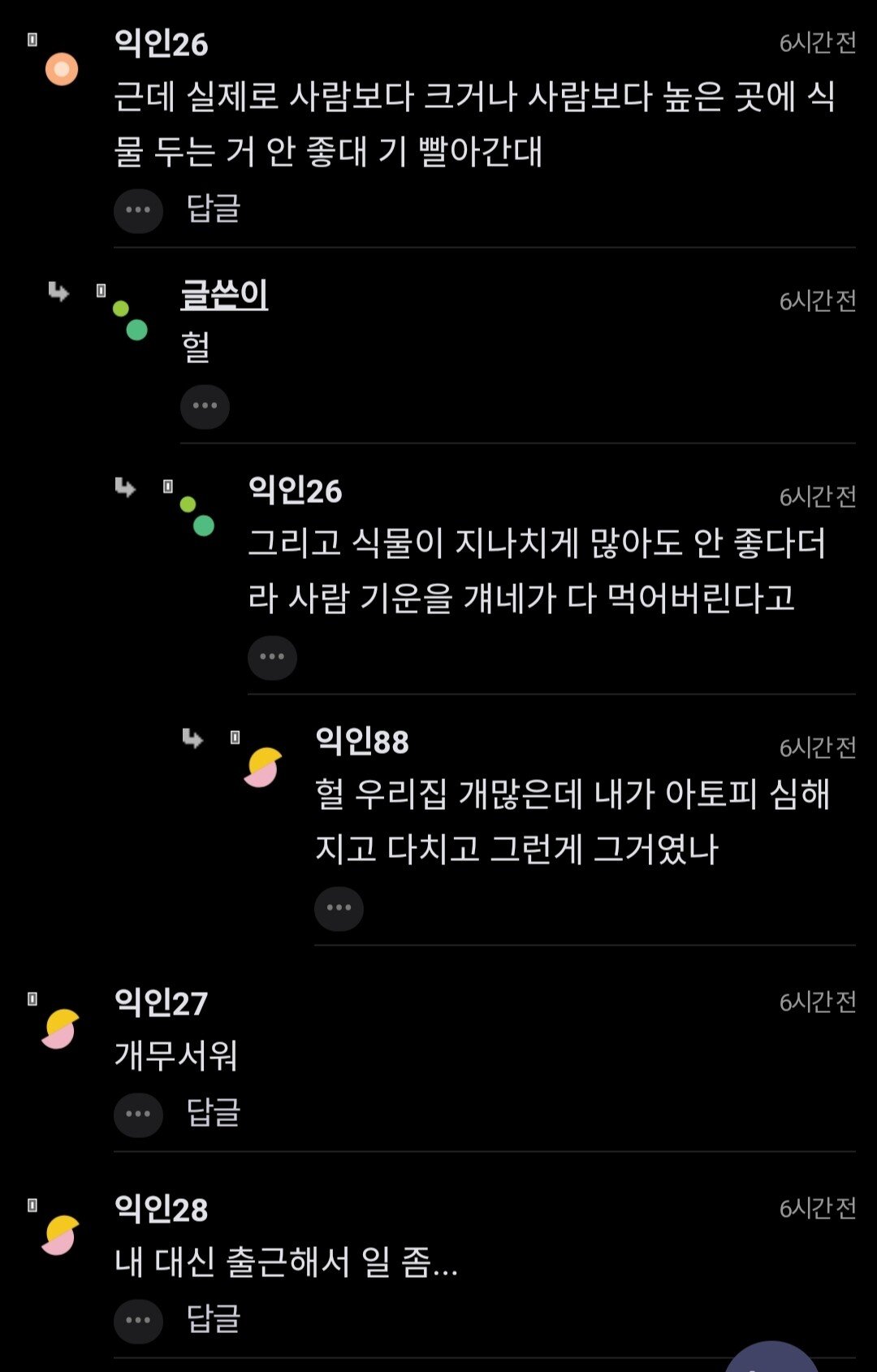 집에 사람보다 큰 식물 키우면 안댐