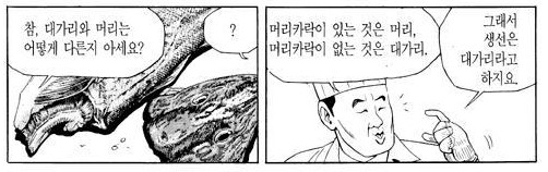 머리와 대가리의 차이