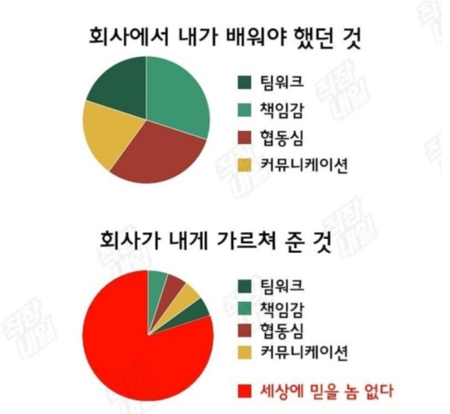 회사가 내게 가르쳐 준 것.