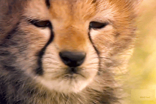 34341_10_11.gif