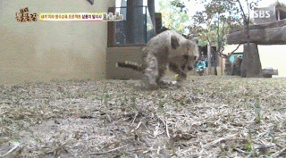 34341_1_2.gif