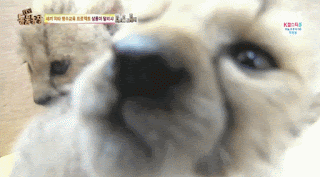 34341_7_8.gif