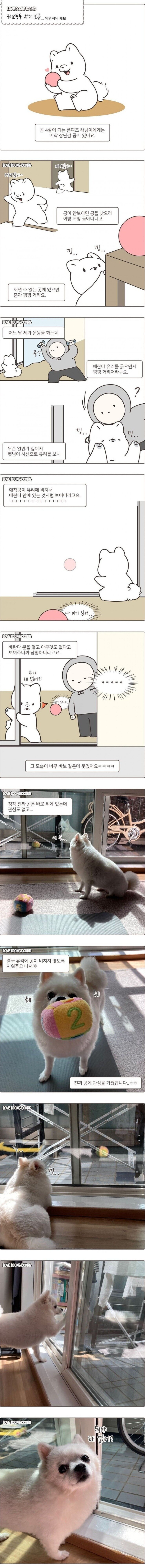 멍청미가 돋보이는 멍멍이