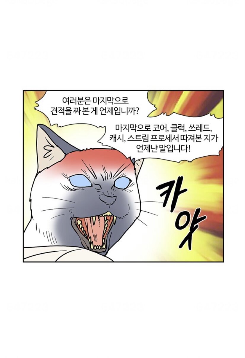 몇 년 전부터 남성들이 불행한 이유