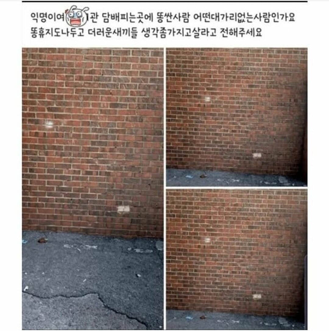 (약간더러움?) 아 왜 화장실에서 담배핌??