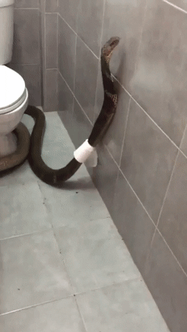35122_0_i014445131482.gif