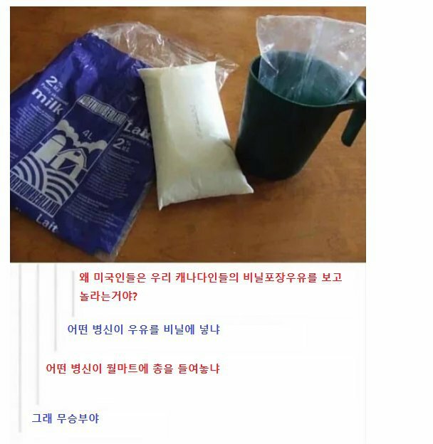 비닐봉지에 우유넣은게 신기한 미국인