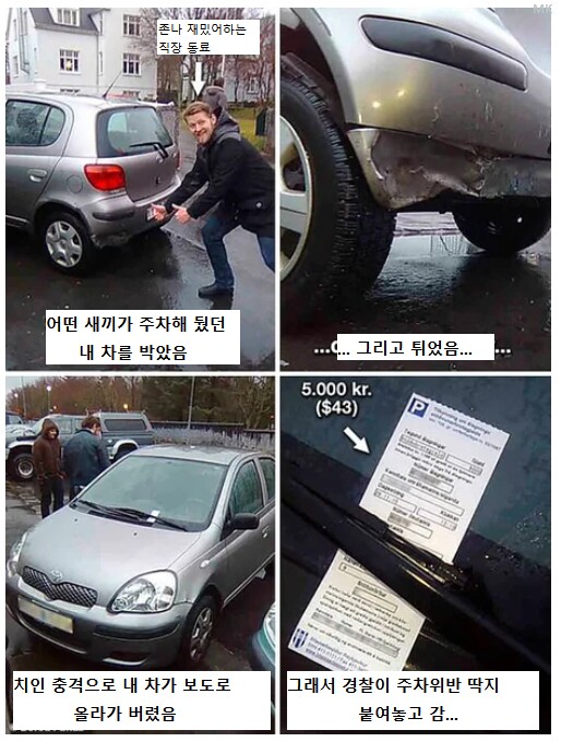 뺑소니에 벌금까지 당한 남자