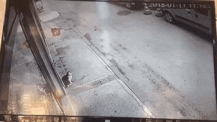 35233_1_i015184703231.gif
