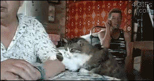 35301_0_i014682671606.gif