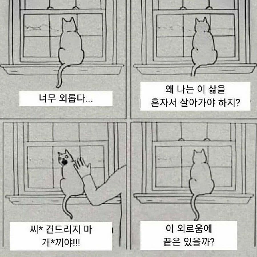 이 생물들이 항상 외로운 이유