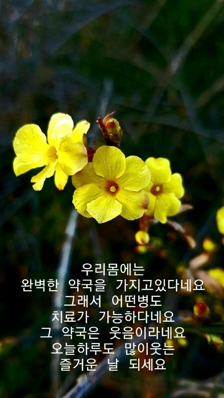 어느 모쏠의 첫사랑 이야기