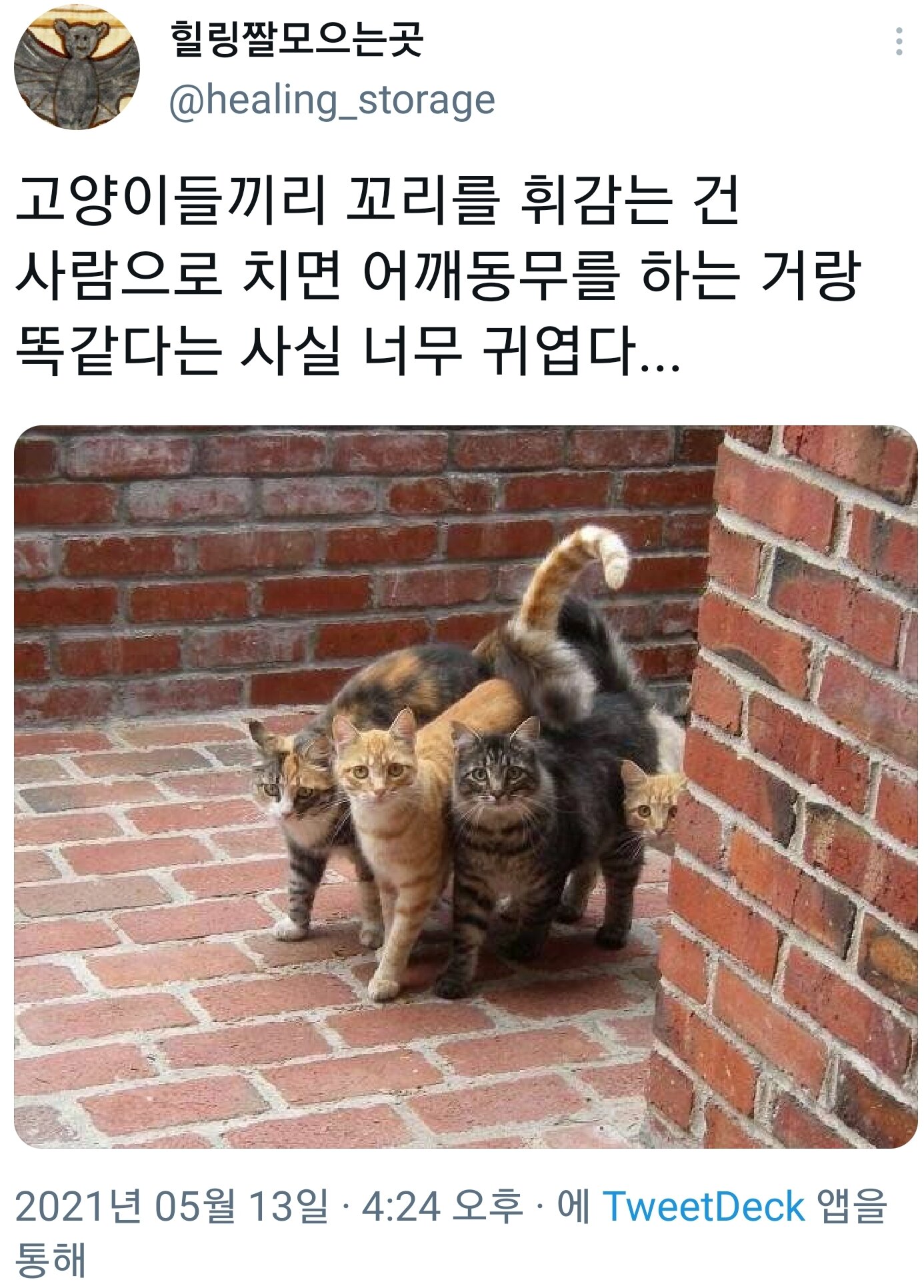 냥이식 어깨동무