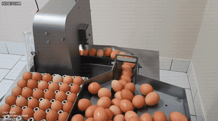 36552_2_i016119530513.gif