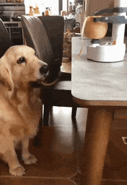 36552_6_i016186691578.gif
