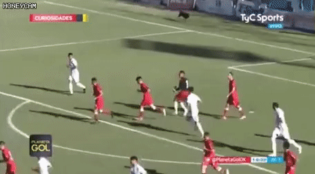 36575_0_i015910677196.gif