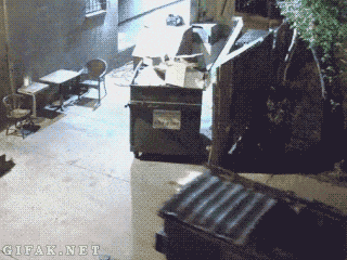 36665_0_i013625685993.gif